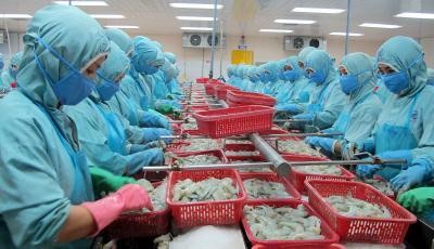 TPP – a platform for Vietnamese businesses to grow - ảnh 2